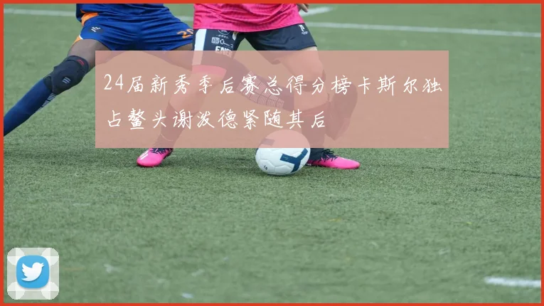 24届新秀季后赛总得分榜卡斯尔独占鳌头谢泼德紧随其后